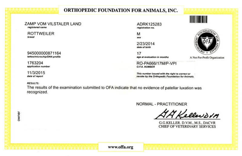 Cert-OFA-Patella