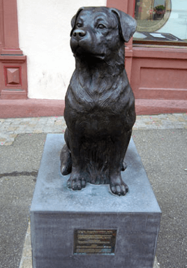 History of the Rottweiler