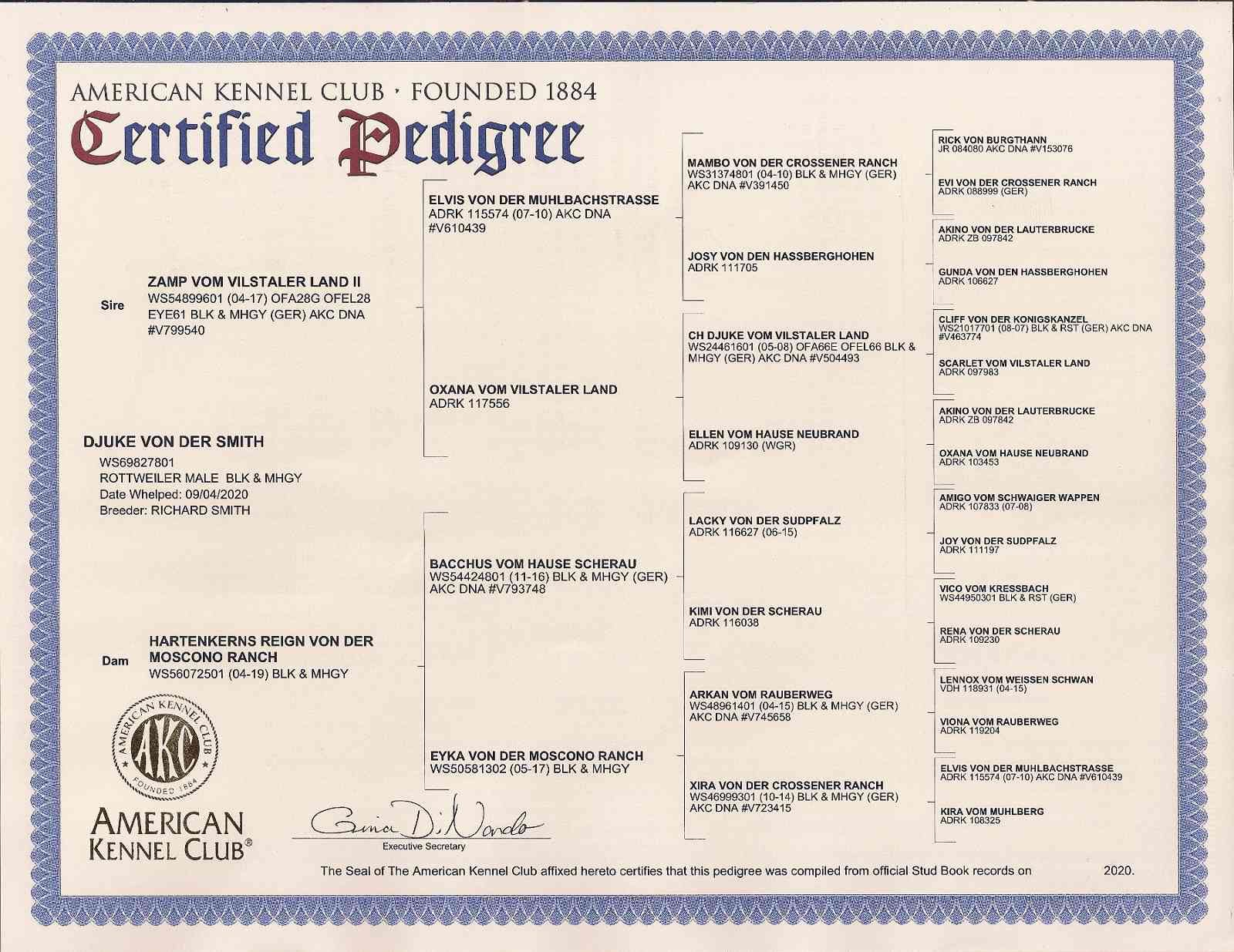 Djuke's 4 Gen Pedigree