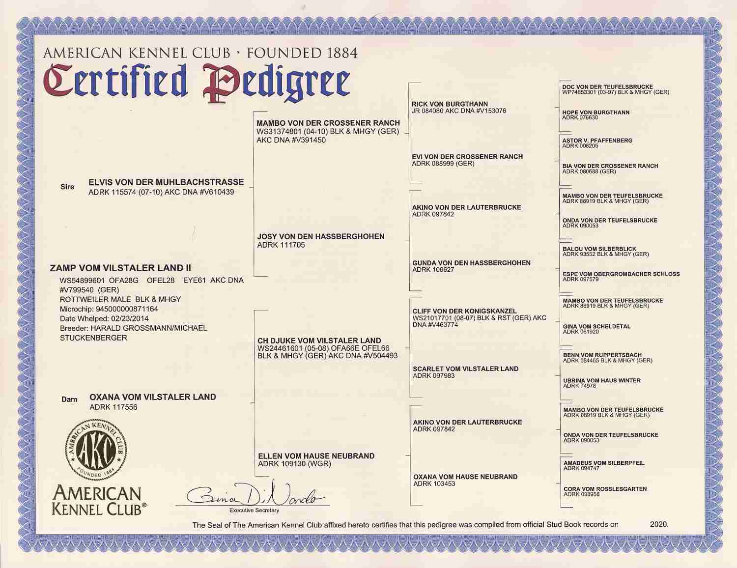 Zamp 4 gen pedigree
