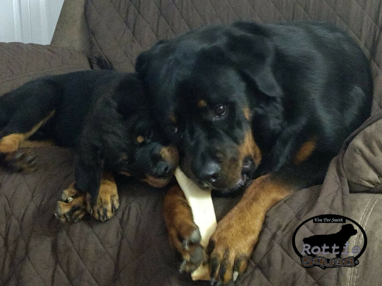 zekemazesharing zekemazesharing