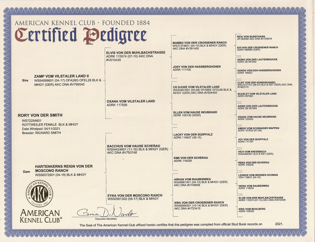 Rory von der Smith 4 gen pedigree