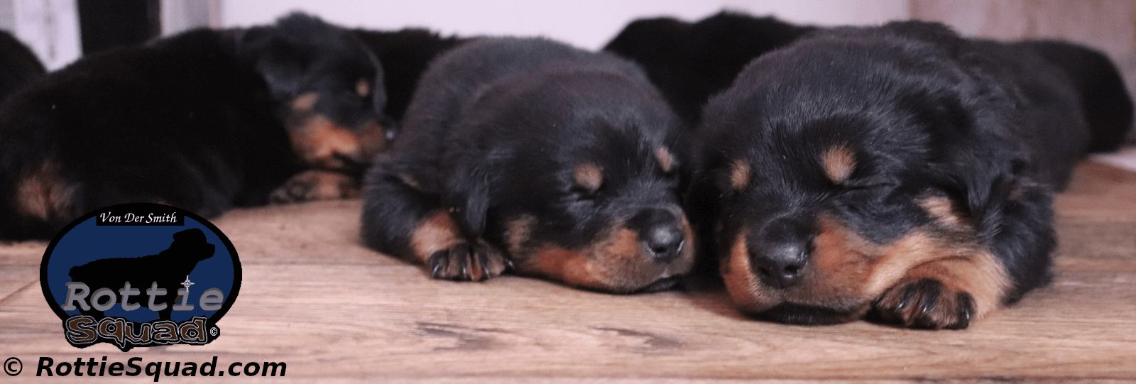 maze vader litter