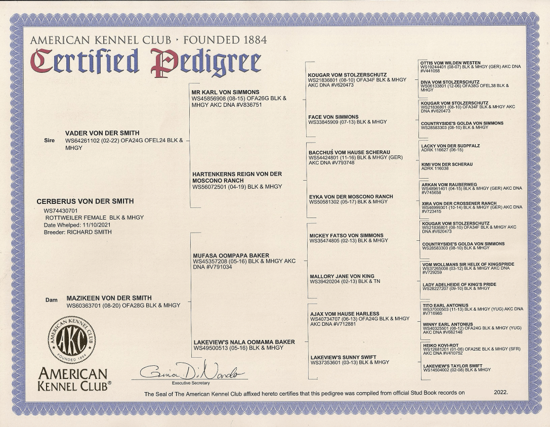 Cera 4 generation pedigree