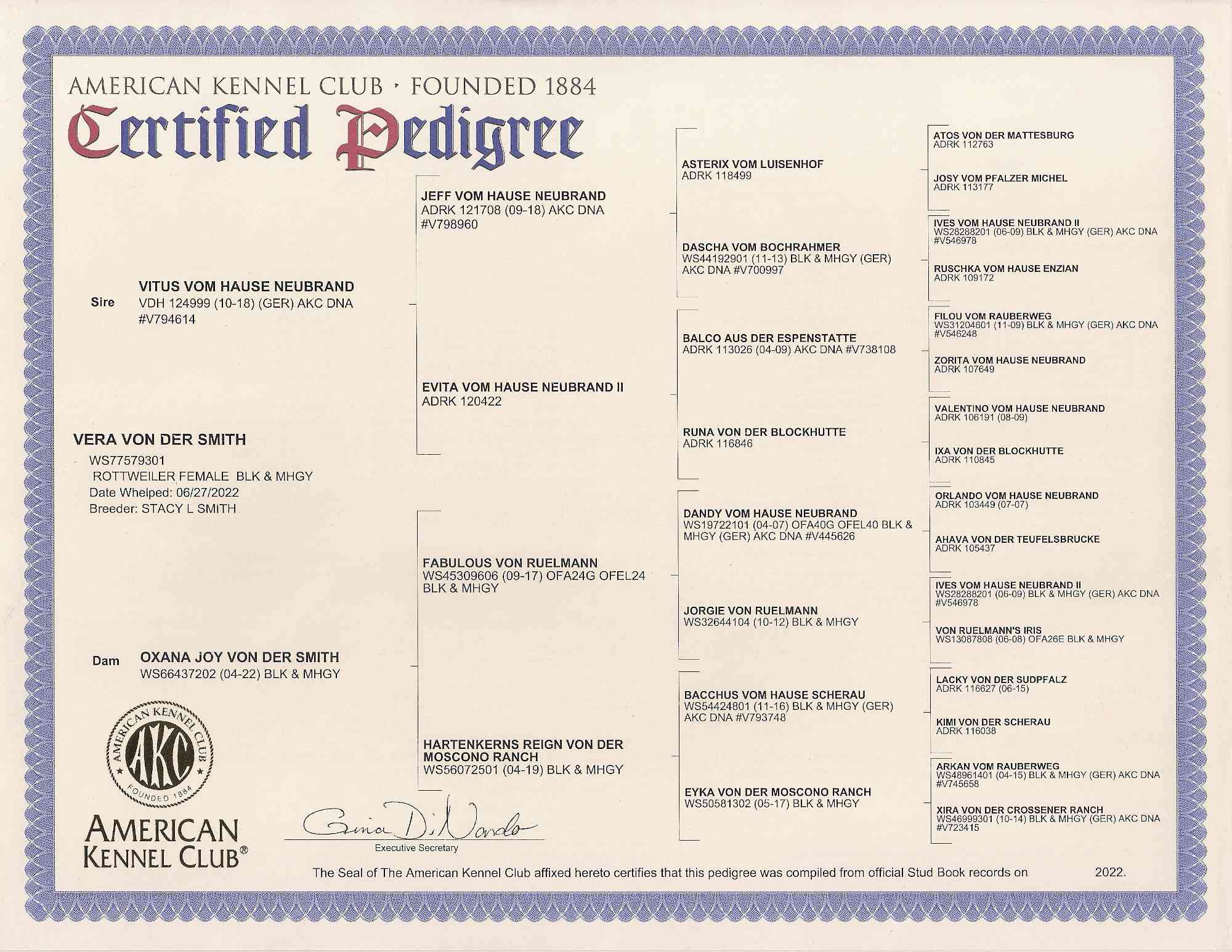 Vera 4 gen pedigree