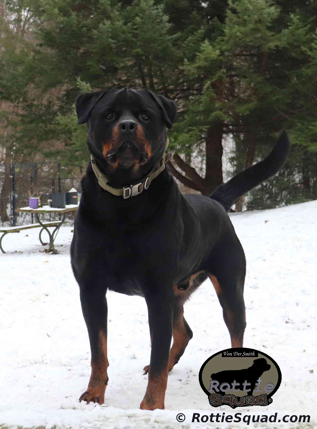 Cato Cato Now @ 12/28/22