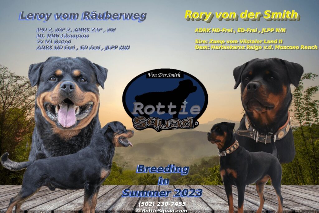Rory & Leroy poster