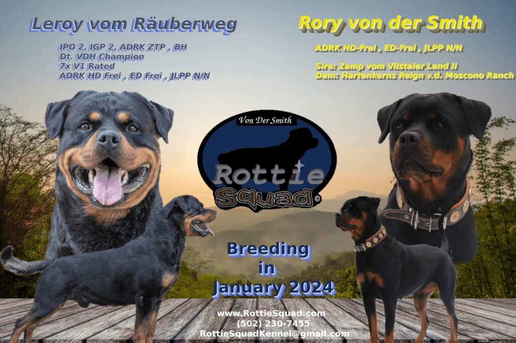 Rory & Leroy poster