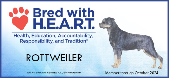 24 heartAKC 24 heartAKC