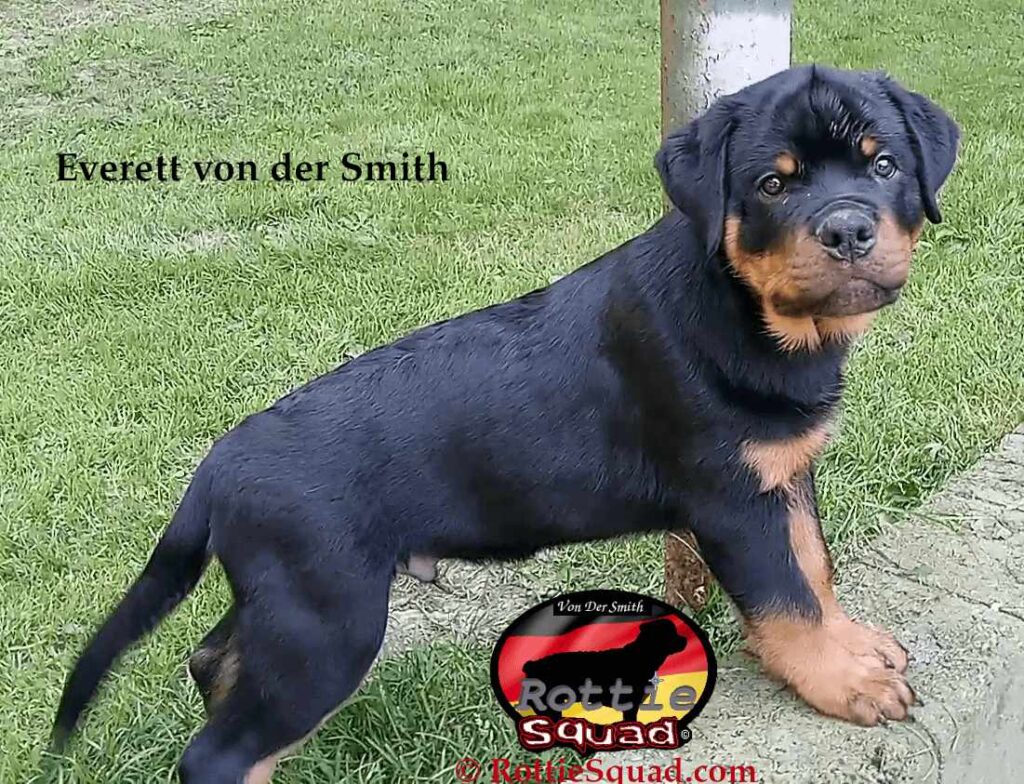 Everett von der Smith