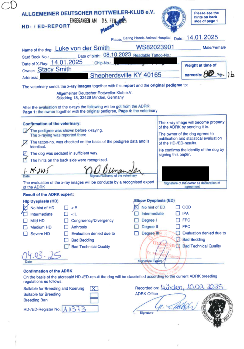 Luke von der Smith HD-ED