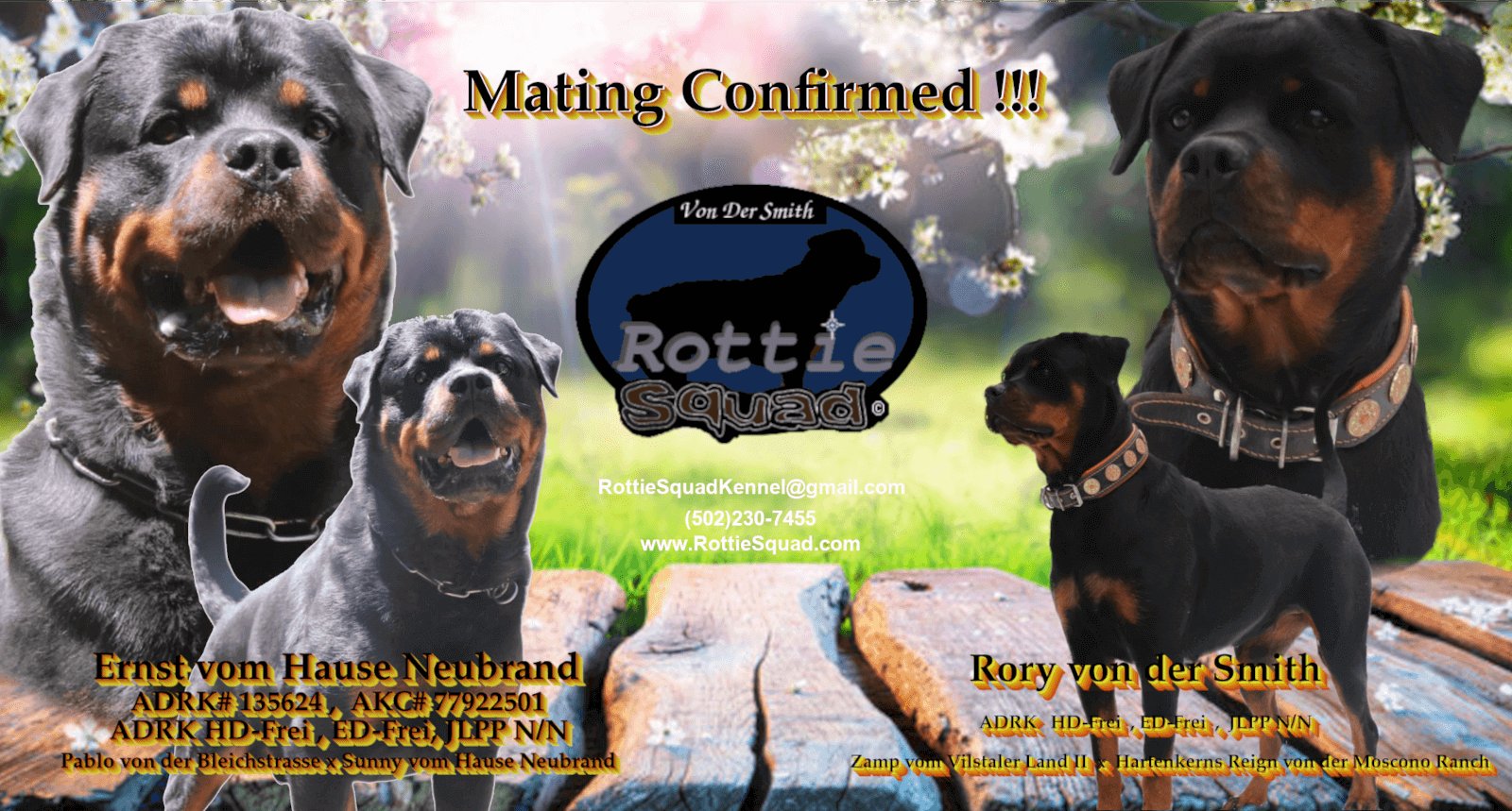 Ernst & Rory breeding2