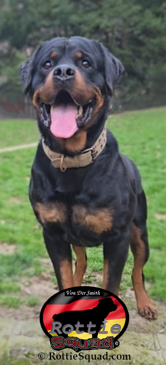 Rudi
