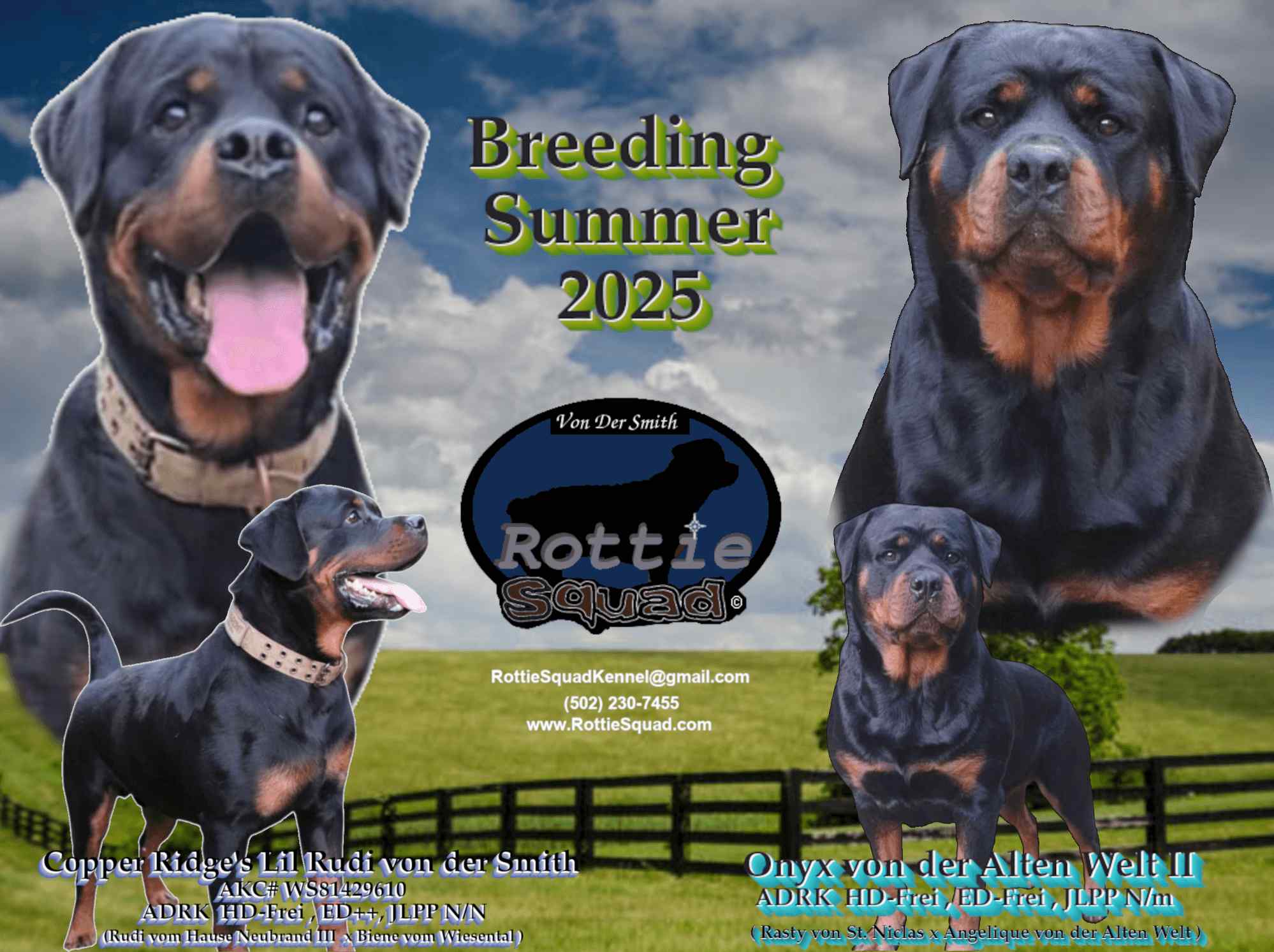 Lil Rudi & Onyx poster Lil Rudi & Onyx poster