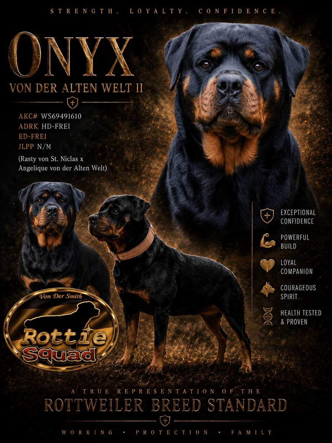 Onyx poster