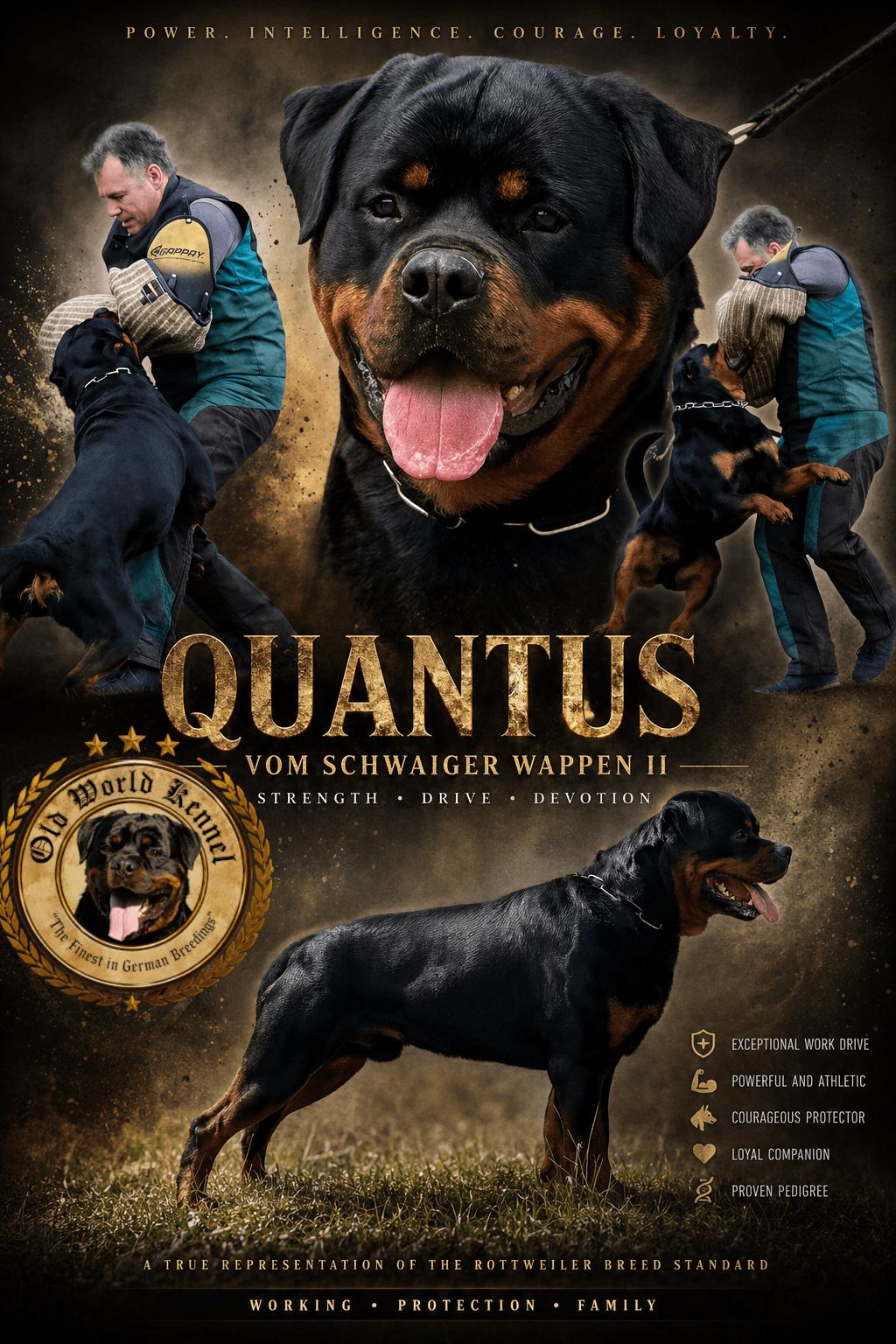 Quantis vom Schwaiger Wappen II poster (1)