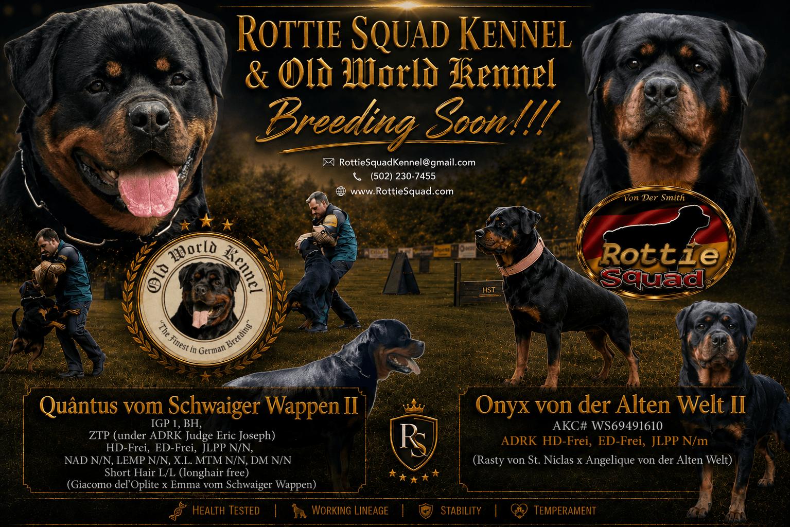 Quantus & Onyx poster