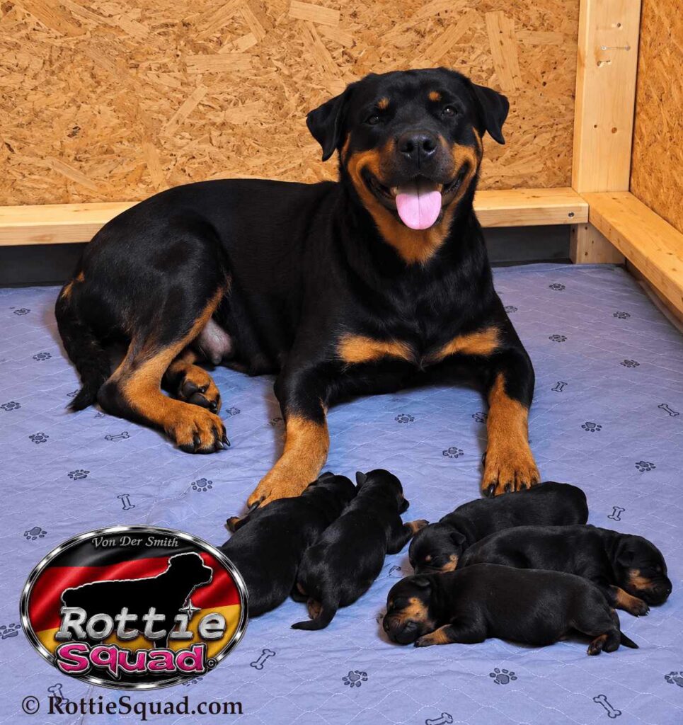 Rudi & Emma pups