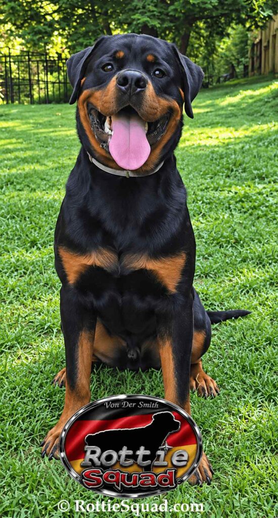 Samson von der Smith1